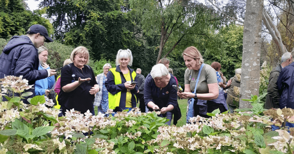a group of people standing together looking at a flower bush with butterflies on them.