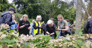a group of people standing together looking at a flower bush with butterflies on them.