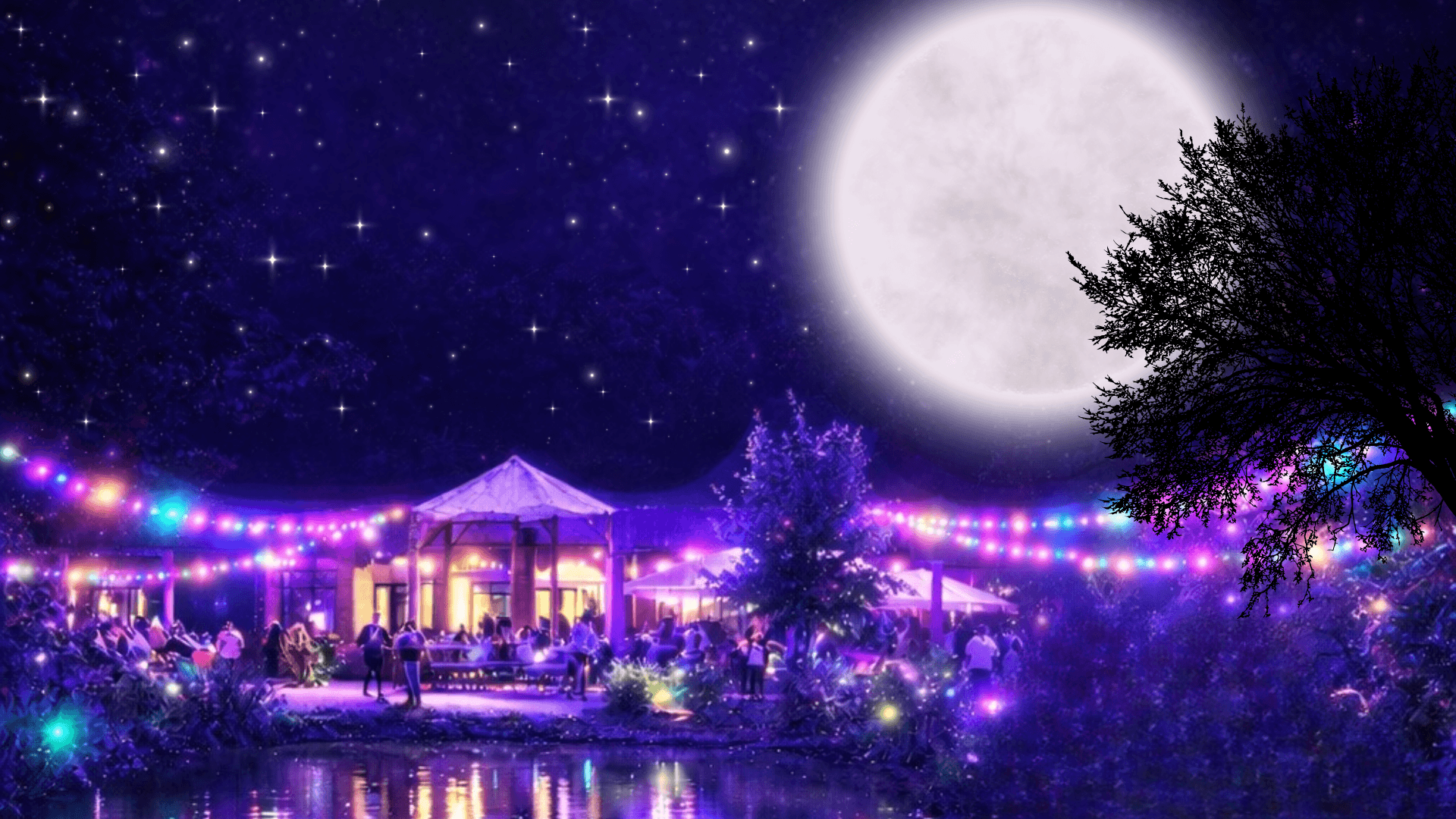 a graphic image of a night time. The moon in a purple starry sky with a lake and colourful festival lights