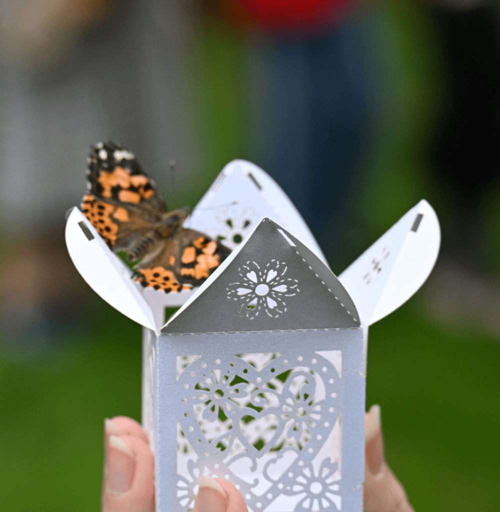 a butterfly sits on a white decorative box