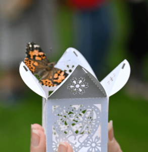 a butterfly sits on a white decorative box